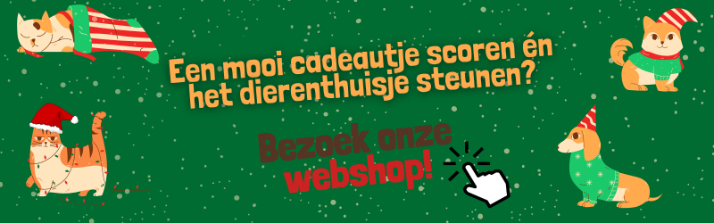 banner warmste eindejaar 3